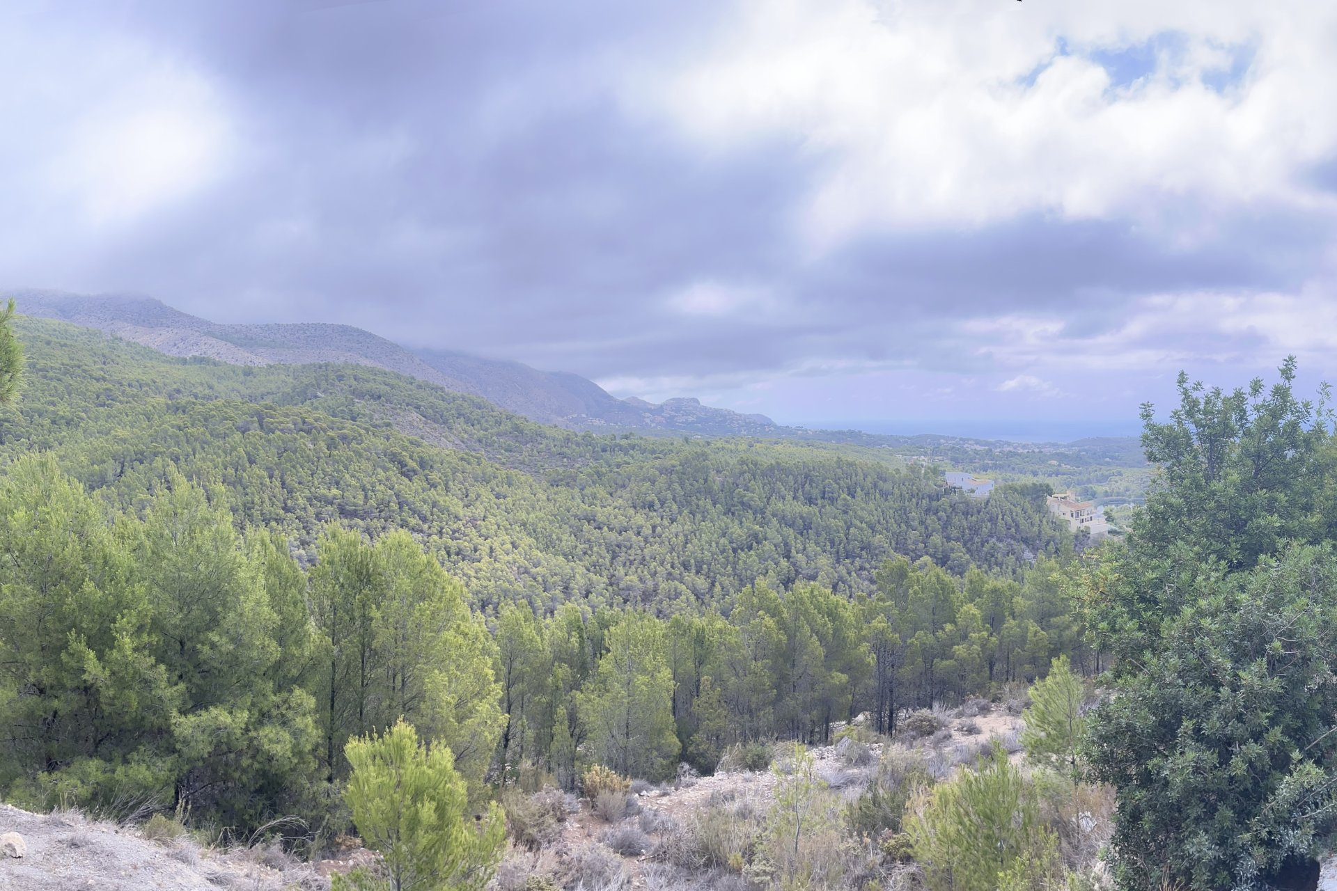 Reventa - Parcela / Terreno - Altea - Sierra de Altea