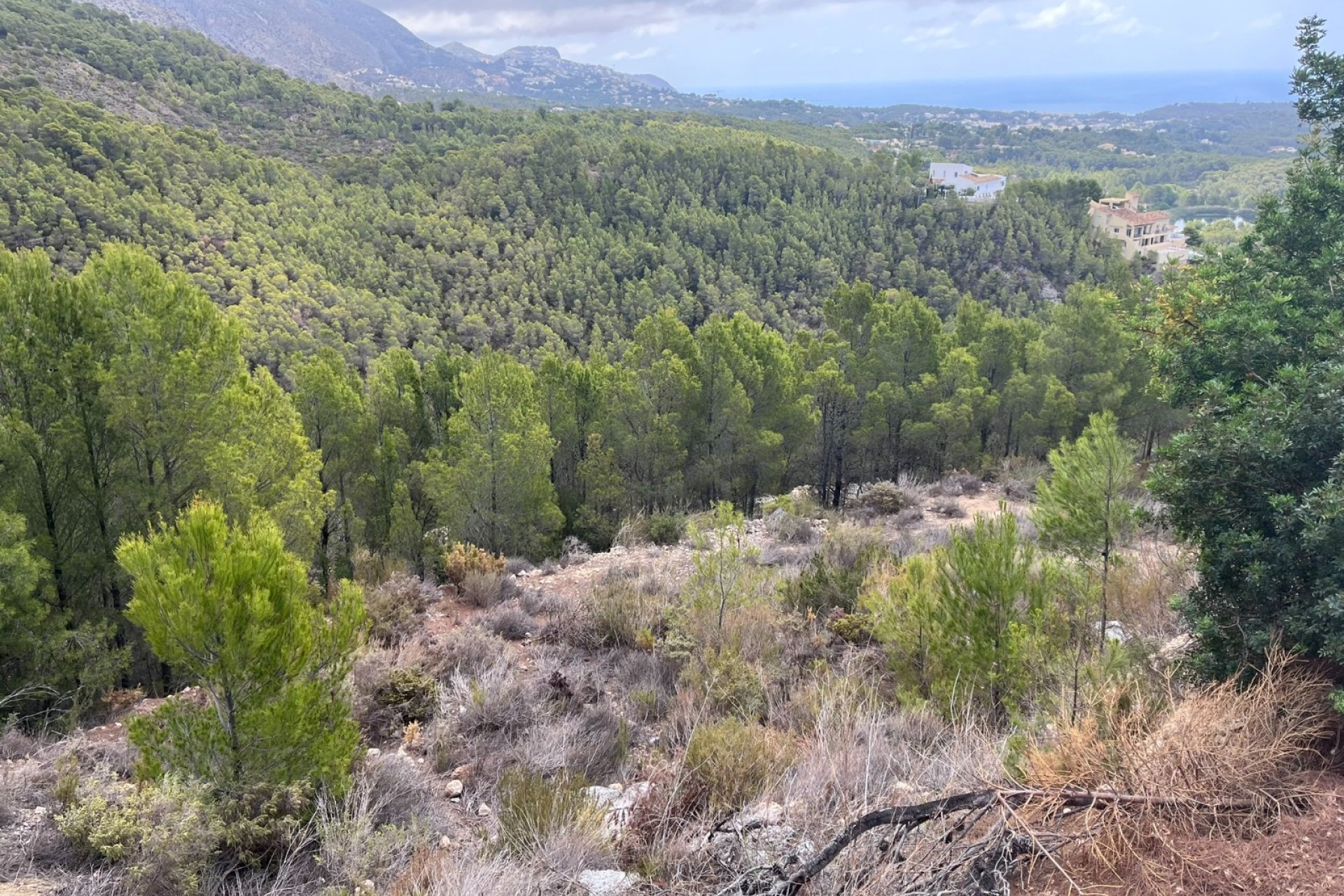 Reventa - Parcela / Terreno - Altea - Sierra de Altea