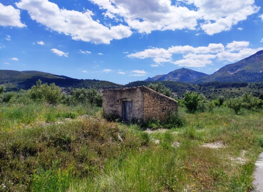Reventa - Parcela / Terreno - Benimassot