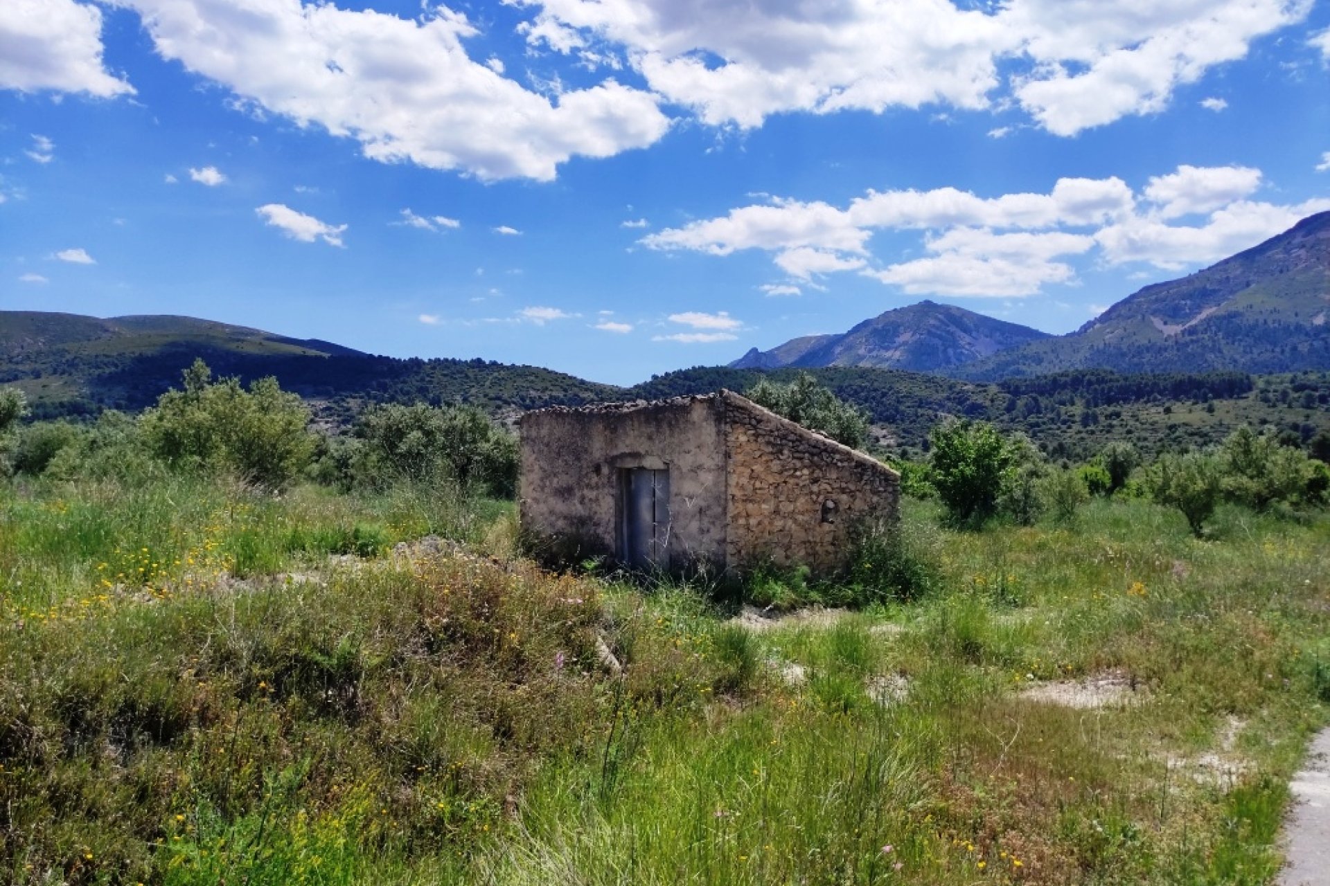 Reventa - Parcela / Terreno - Benimassot