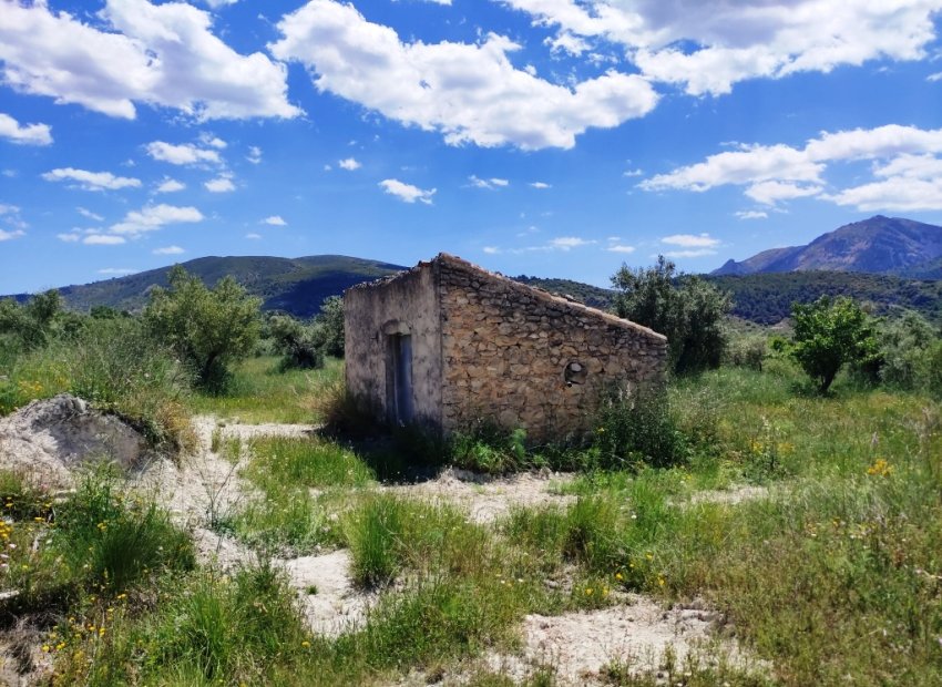 Reventa - Parcela / Terreno - Benimassot