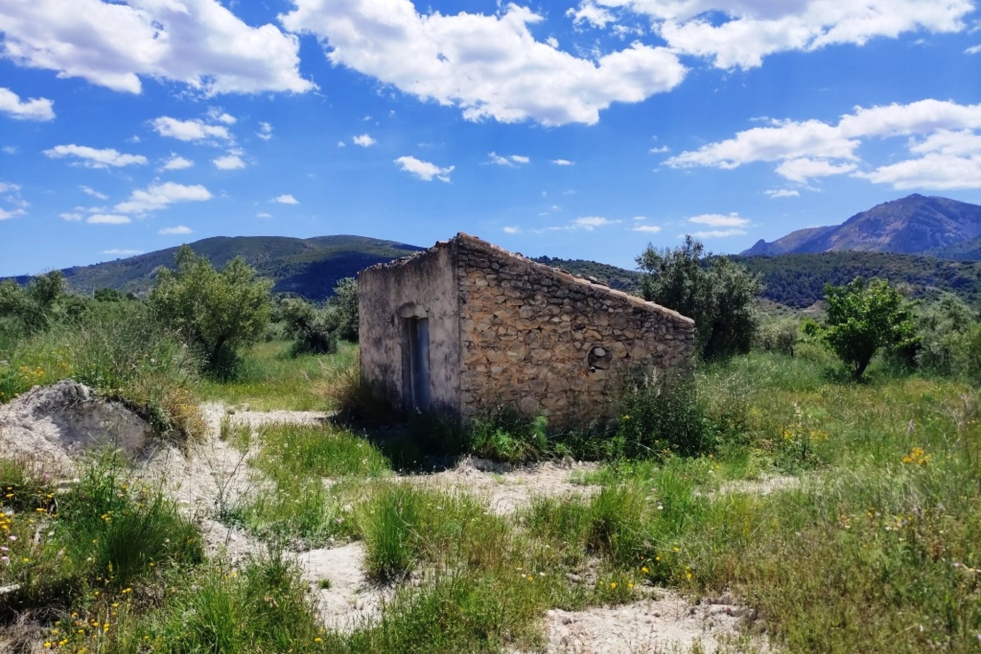 Reventa - Parcela / Terreno - Benimassot