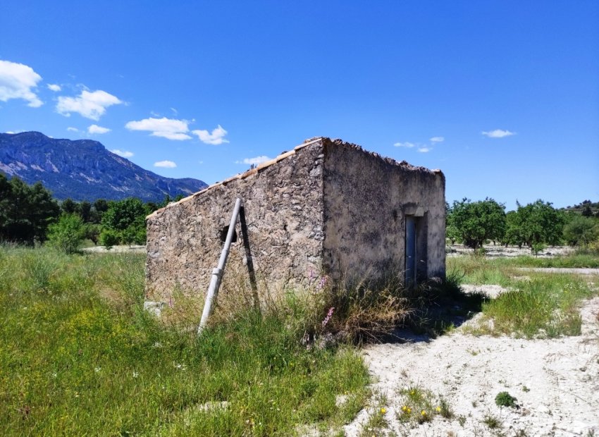 Reventa - Parcela / Terreno - Benimassot