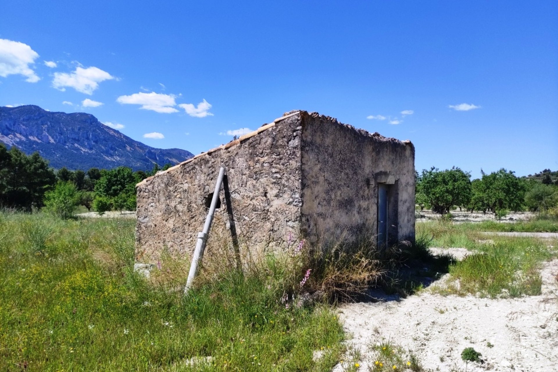 Reventa - Parcela / Terreno - Benimassot