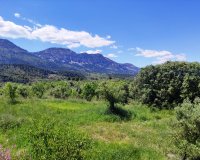 Reventa - Parcela / Terreno - Benimassot