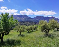 Reventa - Parcela / Terreno - Benimassot