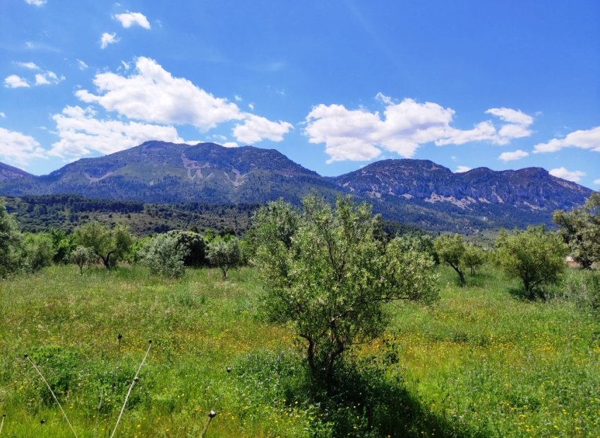 Reventa - Parcela / Terreno - Benimassot