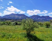 Reventa - Parcela / Terreno - Benimassot