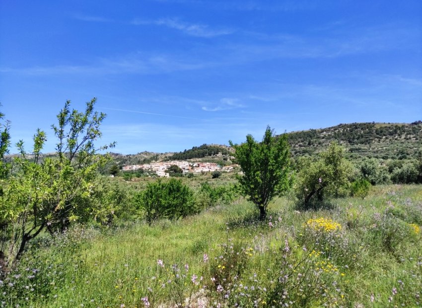 Reventa - Parcela / Terreno - Benimassot