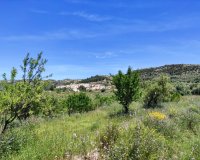 Reventa - Parcela / Terreno - Benimassot