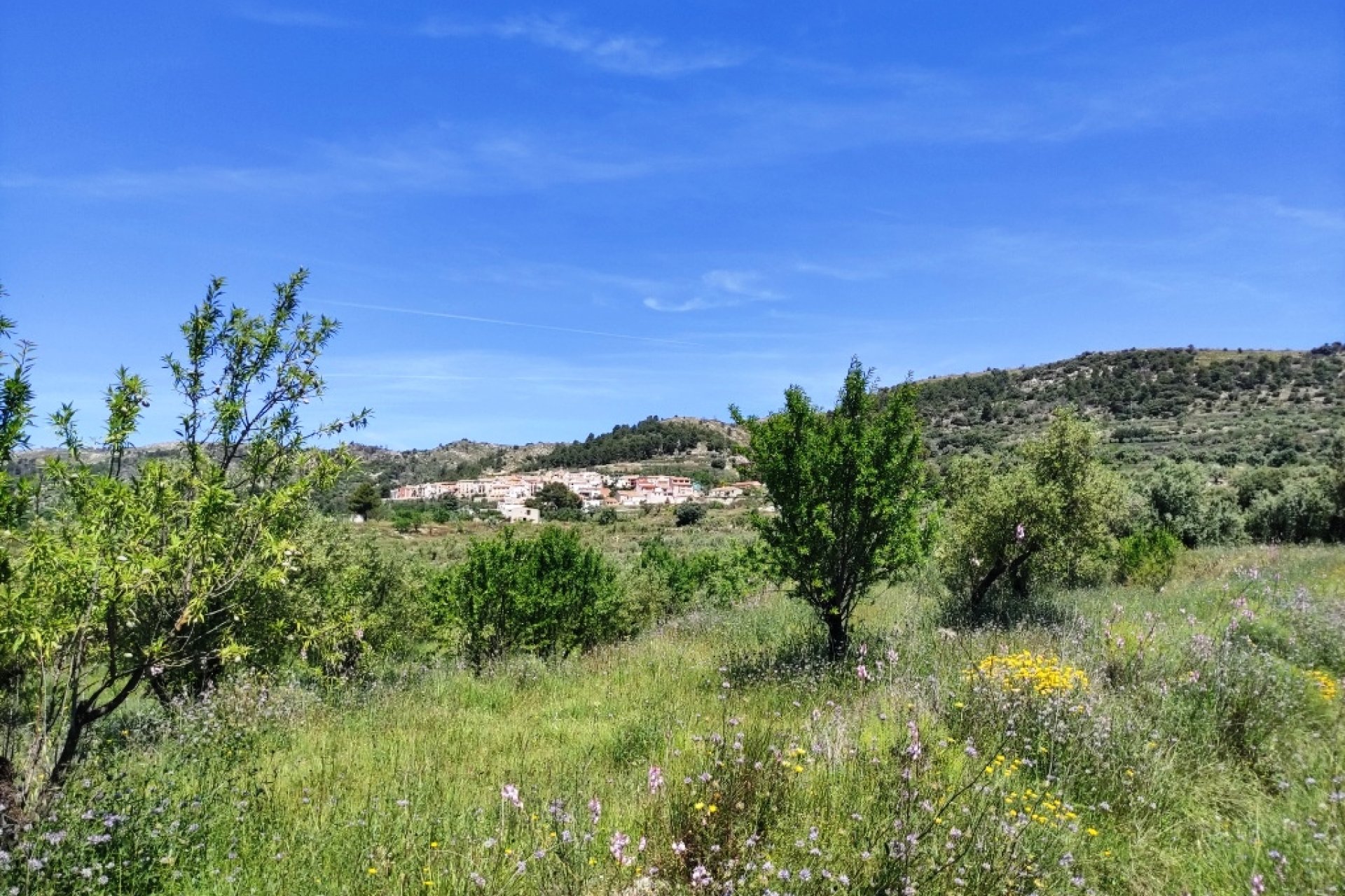 Reventa - Parcela / Terreno - Benimassot