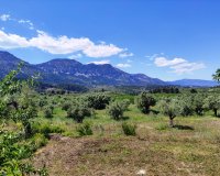 Reventa - Parcela / Terreno - Benimassot