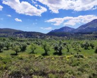 Reventa - Parcela / Terreno - Benimassot