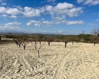 Reventa - Parcela / Terreno - BULLAS - Costa Calida