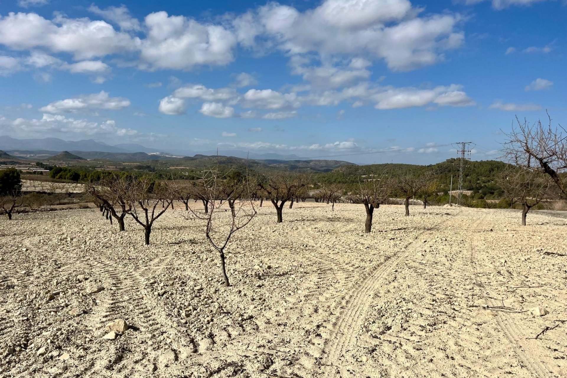 Reventa - Parcela / Terreno - BULLAS - Costa Calida