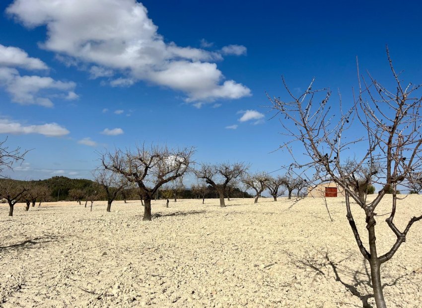 Reventa - Parcela / Terreno - BULLAS - Costa Calida