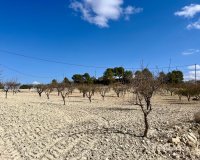 Reventa - Parcela / Terreno - BULLAS - Costa Calida