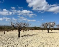 Reventa - Parcela / Terreno - BULLAS - Costa Calida