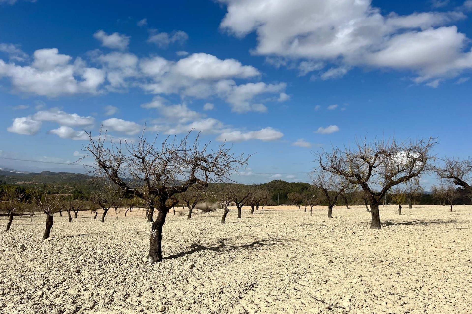 Reventa - Parcela / Terreno - BULLAS - Costa Calida