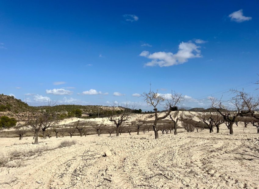 Reventa - Parcela / Terreno - BULLAS - Costa Calida