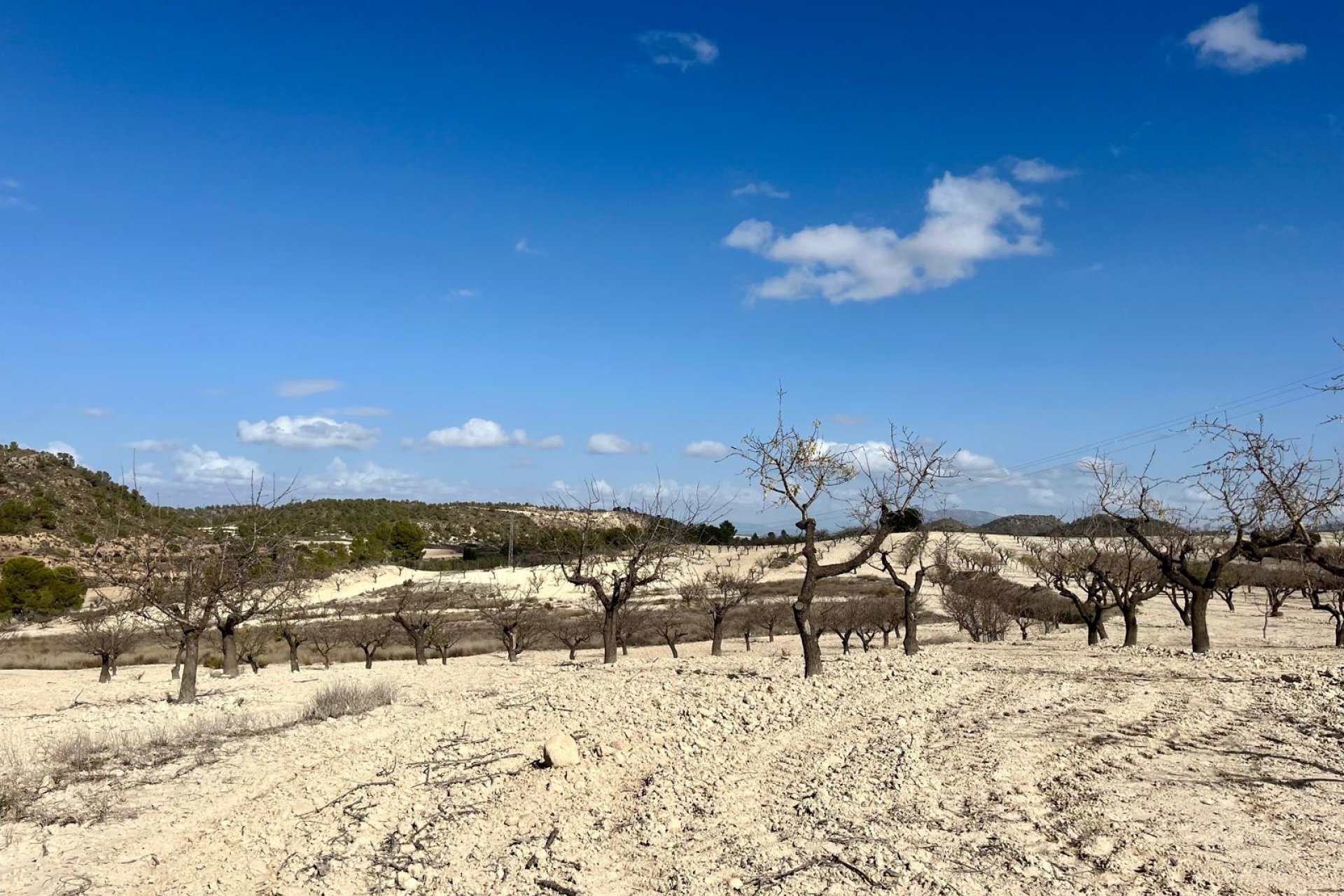 Reventa - Parcela / Terreno - BULLAS - Costa Calida