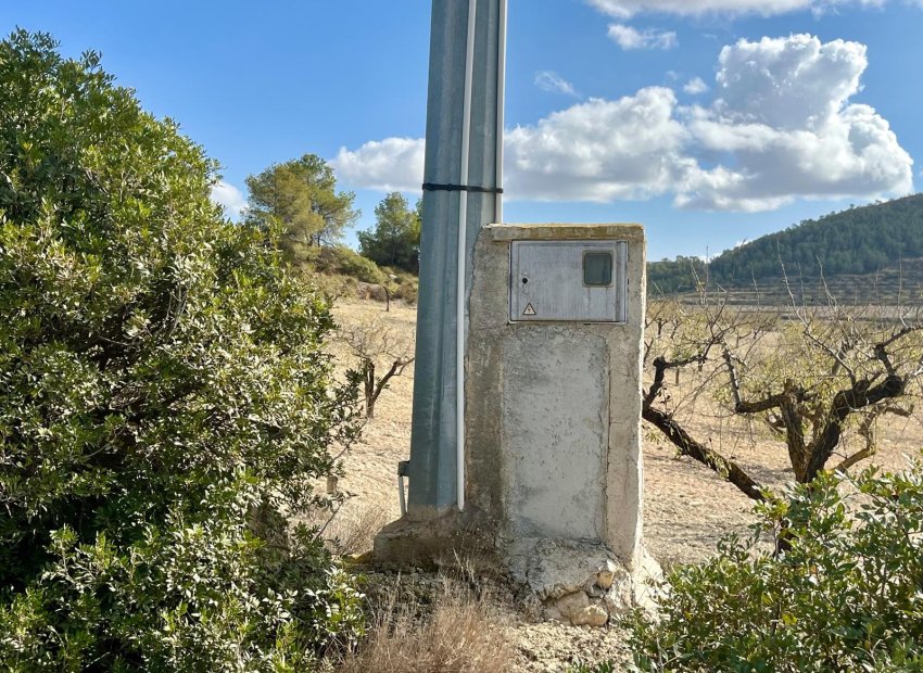 Reventa - Parcela / Terreno - BULLAS - Costa Calida