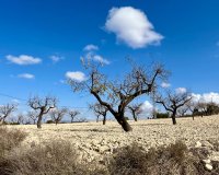 Reventa - Parcela / Terreno - BULLAS - Costa Calida