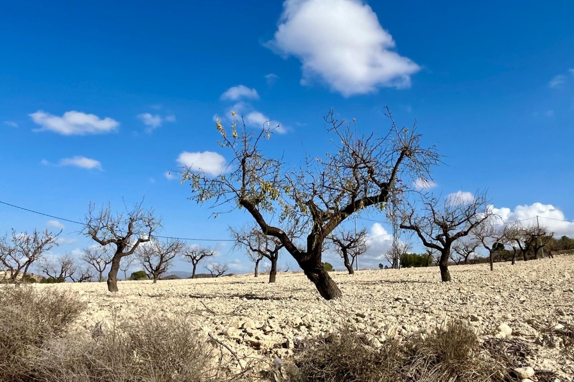 Reventa - Parcela / Terreno - BULLAS - Costa Calida
