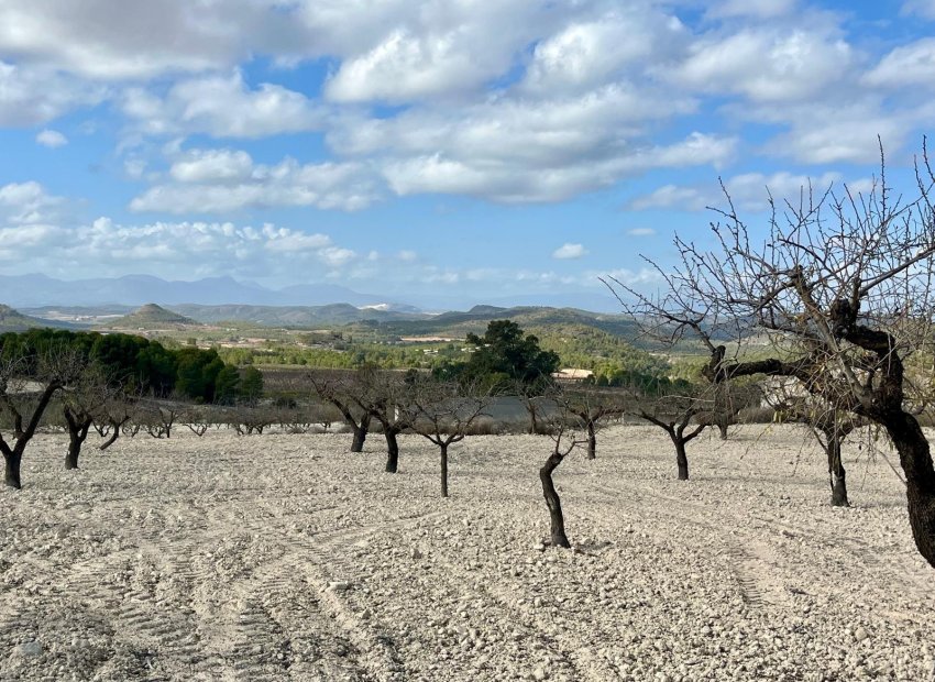 Reventa - Parcela / Terreno - BULLAS - Costa Calida