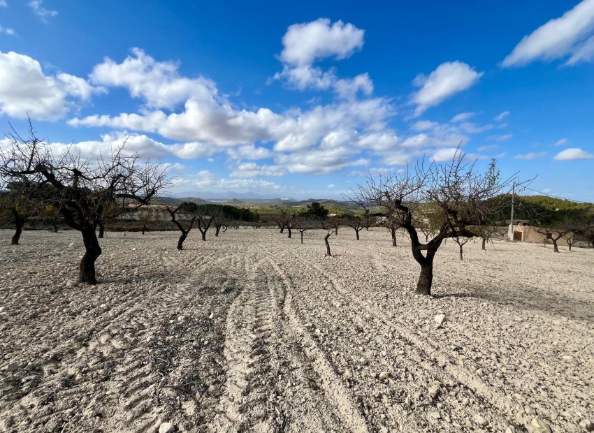 Reventa - Parcela / Terreno - BULLAS - Costa Calida