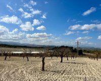 Reventa - Parcela / Terreno - BULLAS - Costa Calida