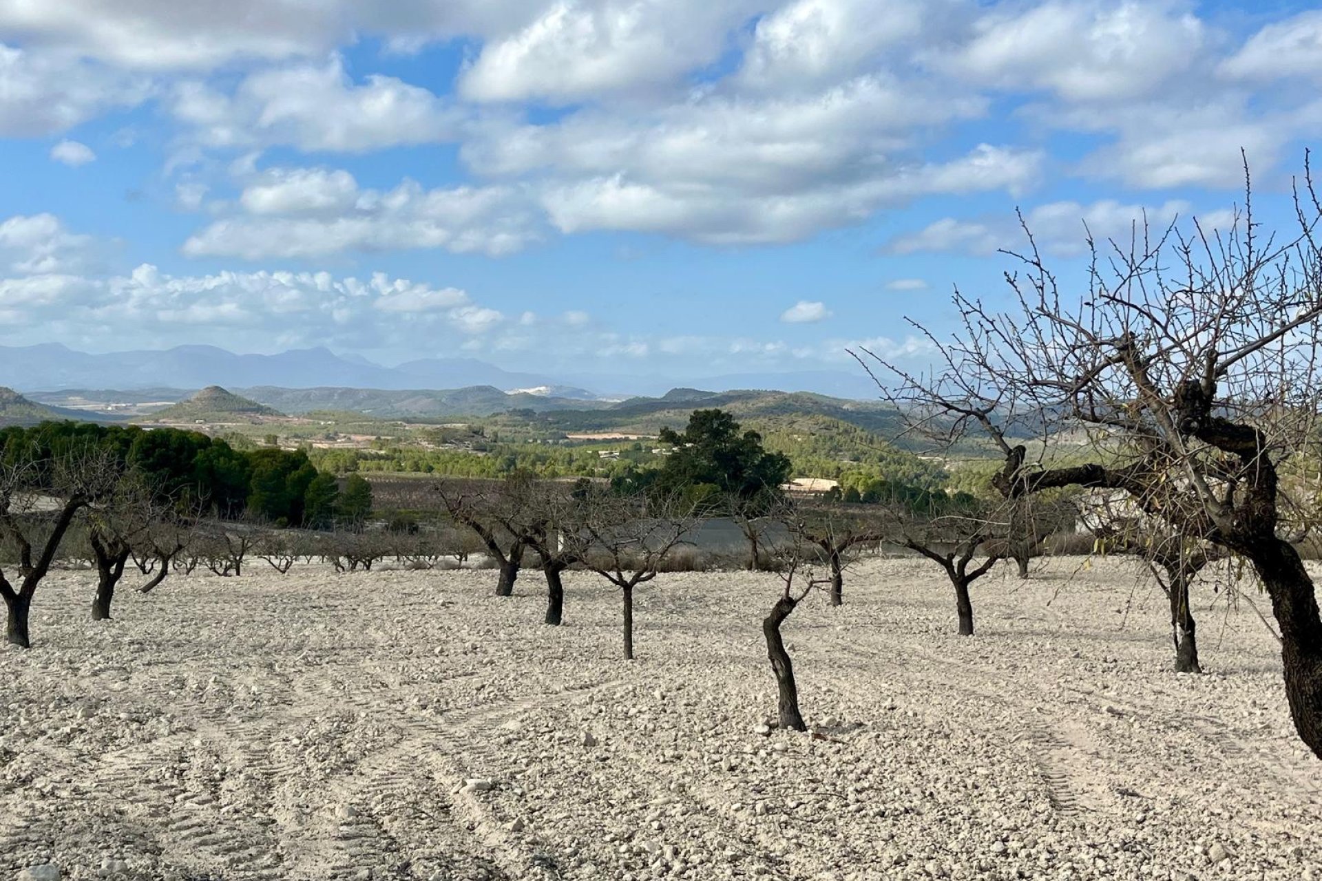 Reventa - Parcela / Terreno - BULLAS - Costa Calida