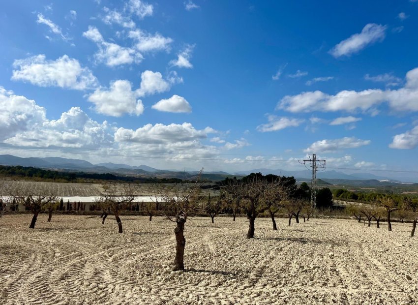 Reventa - Parcela / Terreno - BULLAS - Costa Calida