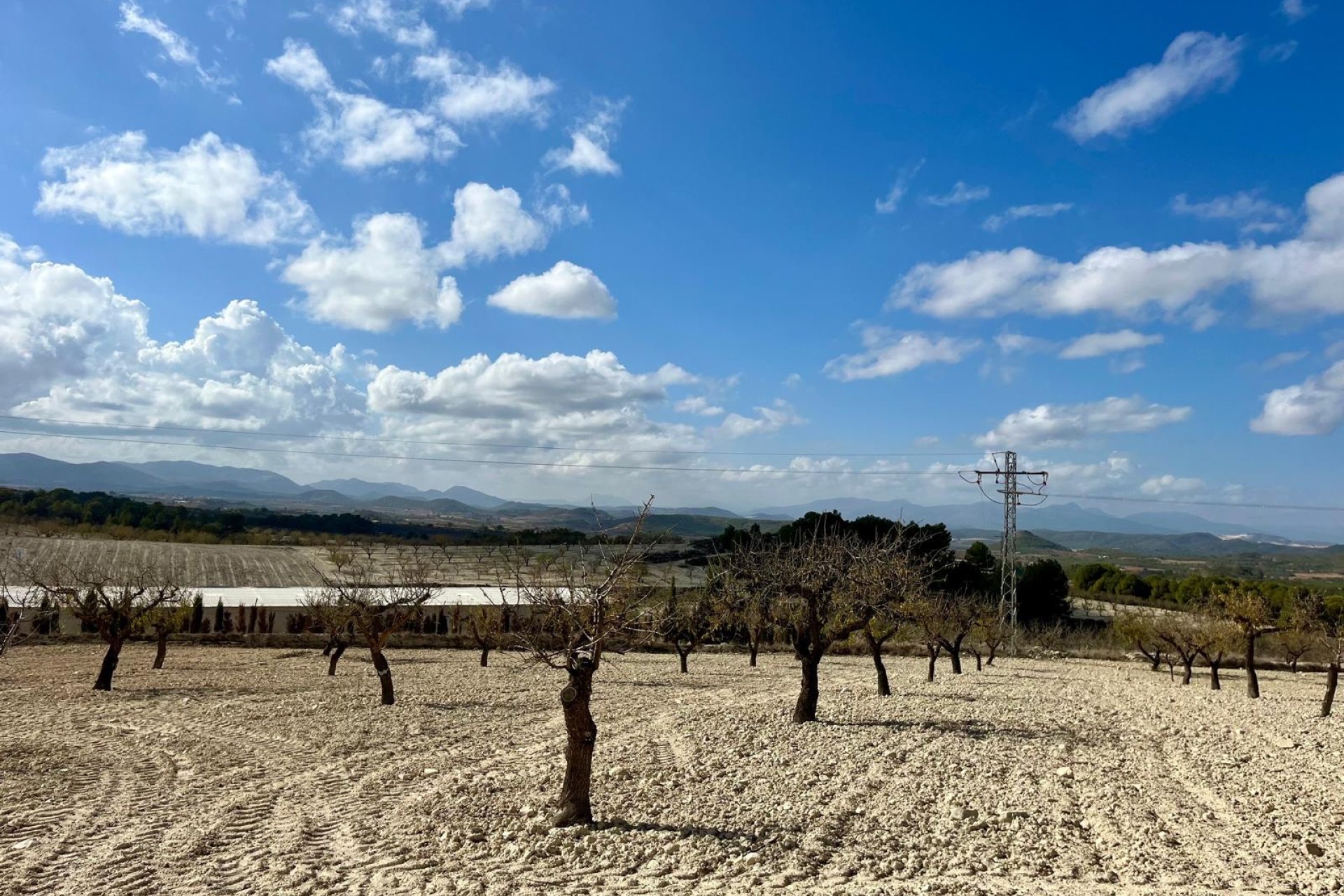 Reventa - Parcela / Terreno - BULLAS - Costa Calida