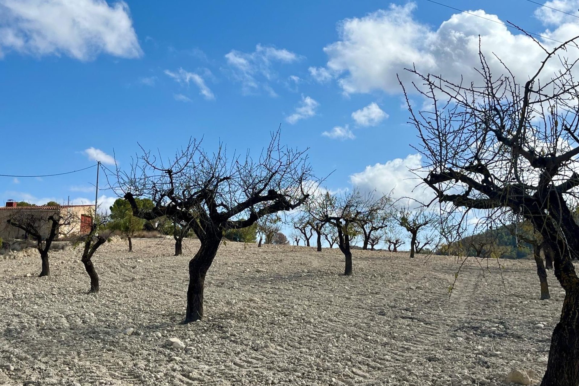 Reventa - Parcela / Terreno - BULLAS - Costa Calida