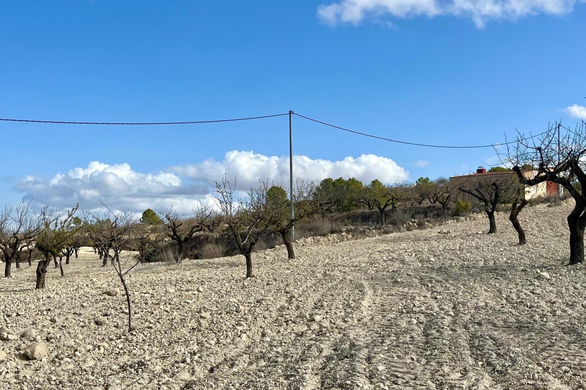 Reventa - Parcela / Terreno - BULLAS - Costa Calida