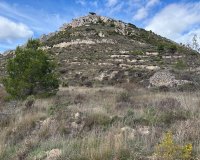 Reventa - Parcela / Terreno - Confrides - Barranc de Xarquera