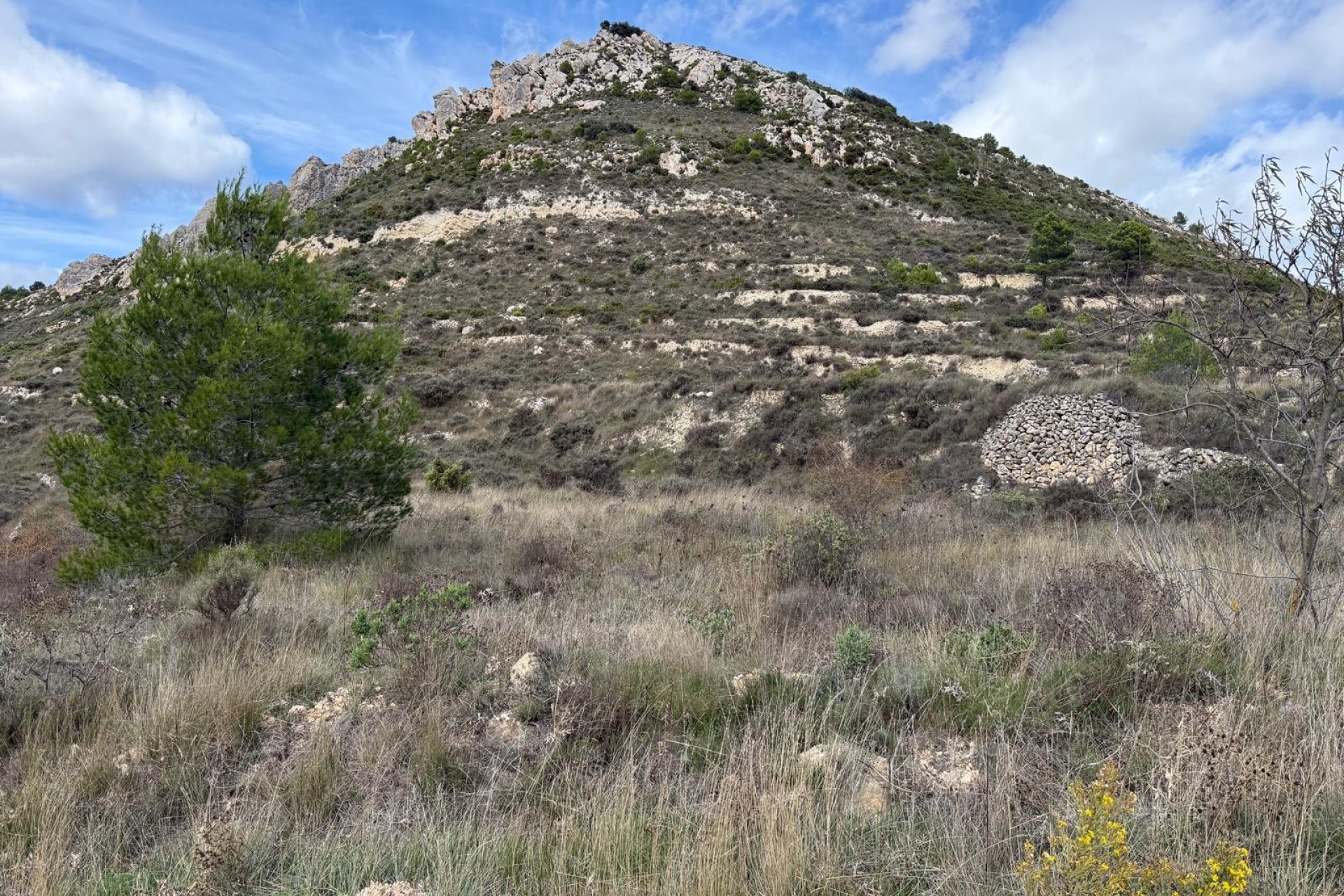 Reventa - Parcela / Terreno - Confrides - Barranc de Xarquera