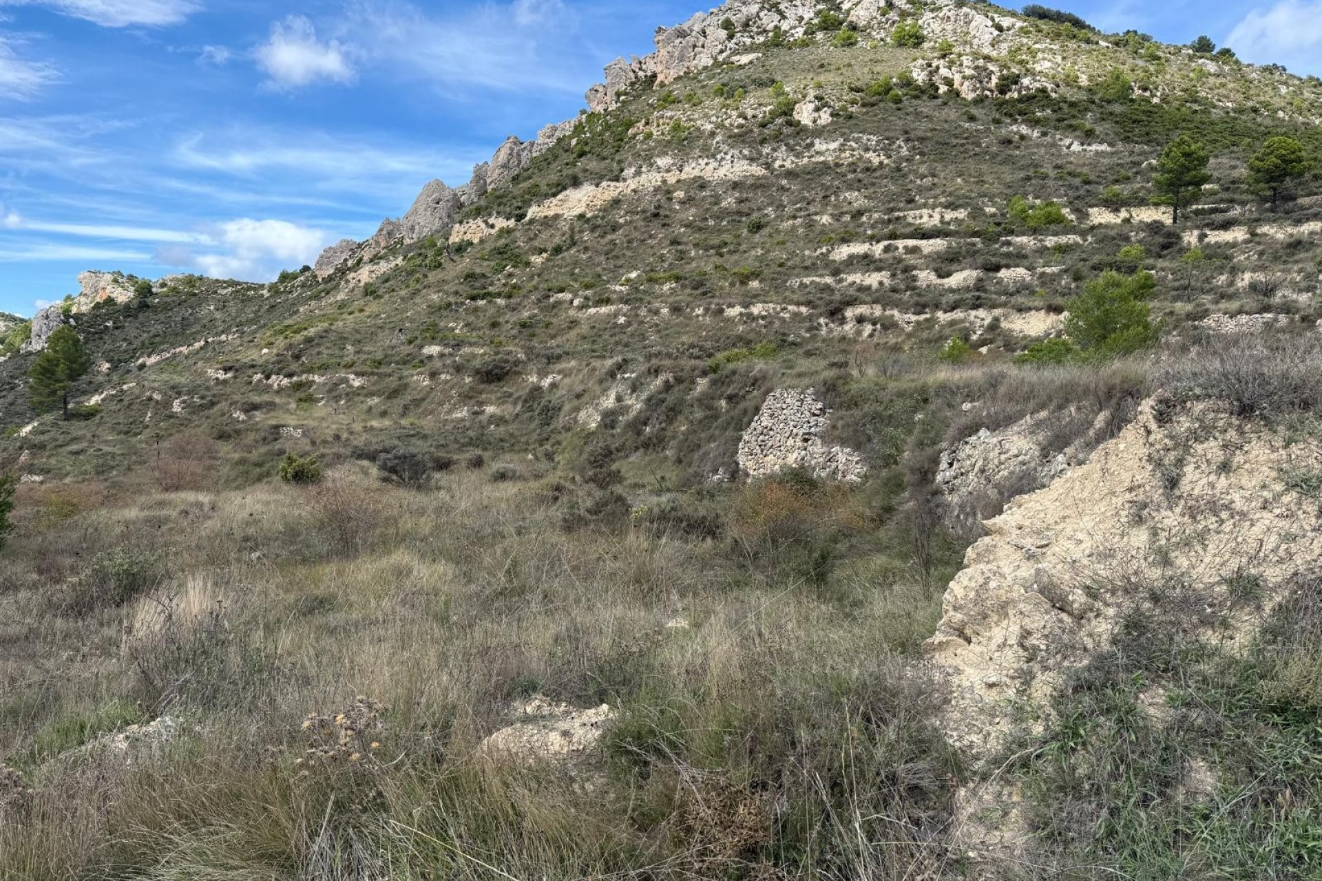 Reventa - Parcela / Terreno - Confrides - Barranc de Xarquera