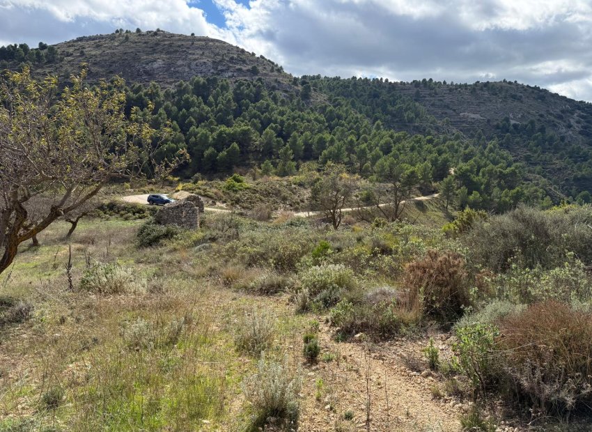 Reventa - Parcela / Terreno - Confrides - Barranc de Xarquera