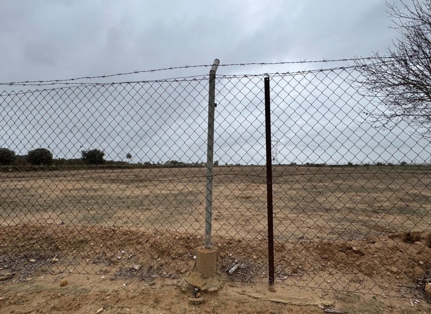 Reventa - Parcela / Terreno - Elche - La Marina