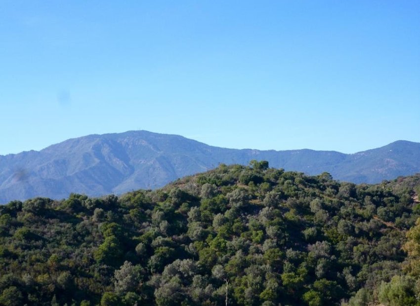 Reventa - Parcela / Terreno - Estepoa - Selwo