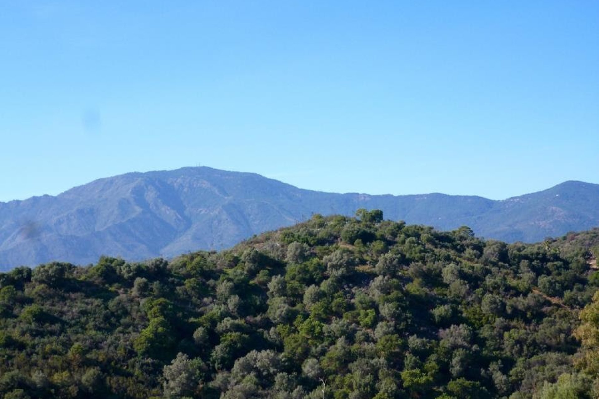 Reventa - Parcela / Terreno - Estepoa - Selwo