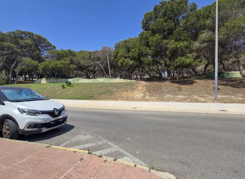 Reventa - Parcela / Terreno - Guardamar del Segura - Pueblo