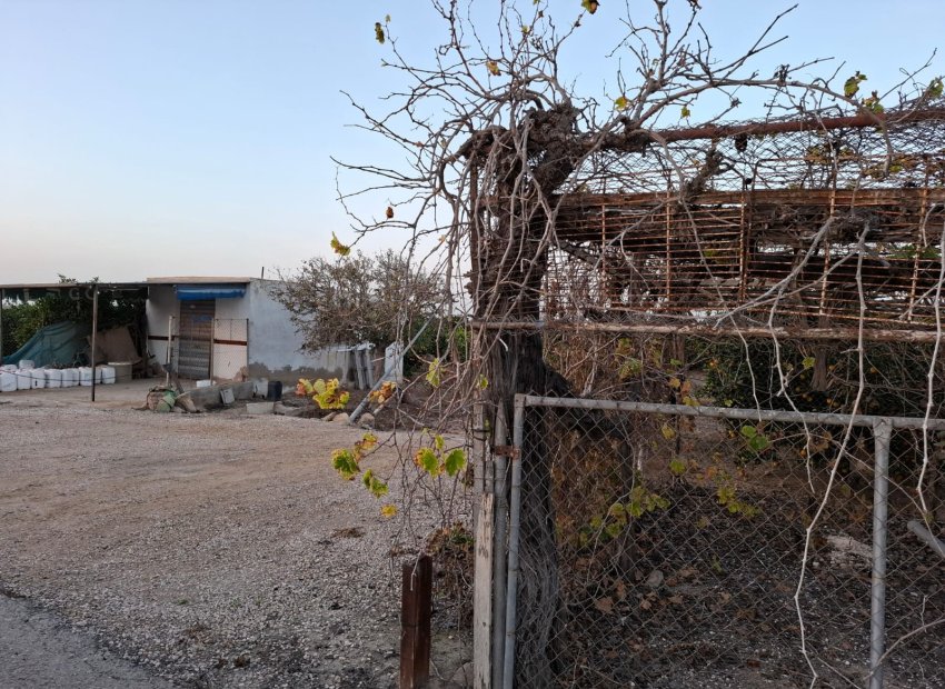 Reventa - Parcela / Terreno - Guardamar del Segura