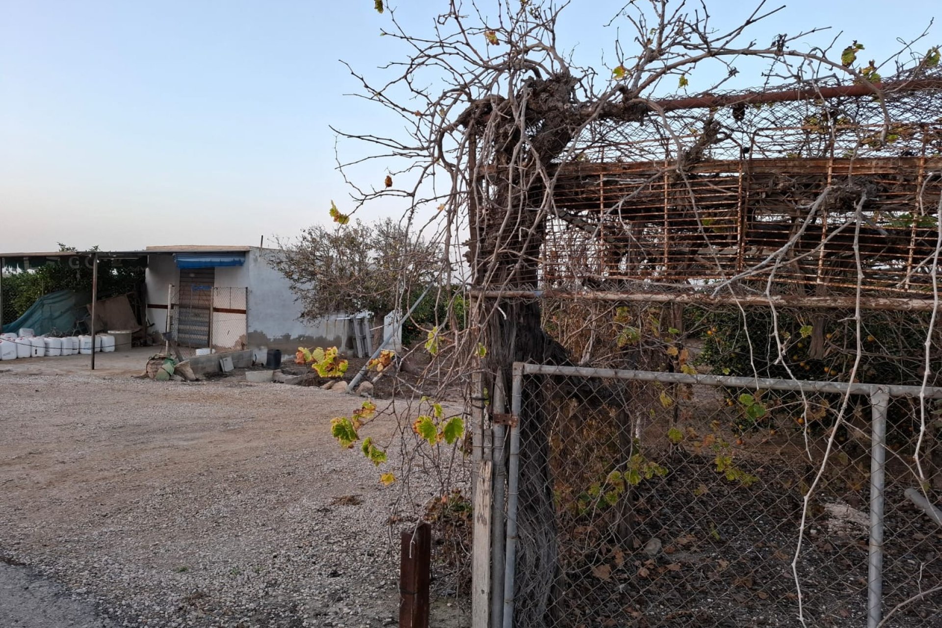 Reventa - Parcela / Terreno - Guardamar del Segura