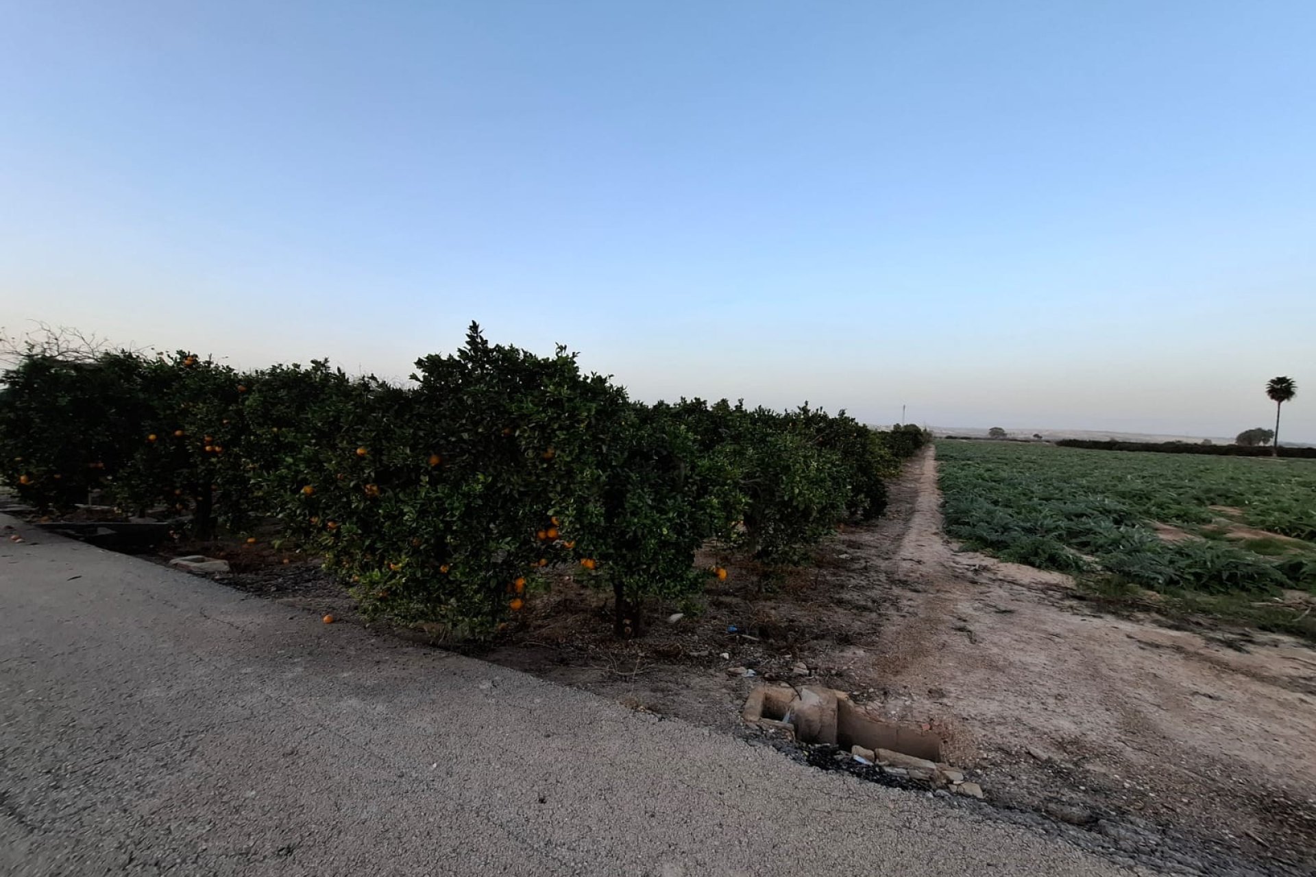 Reventa - Parcela / Terreno - Guardamar del Segura