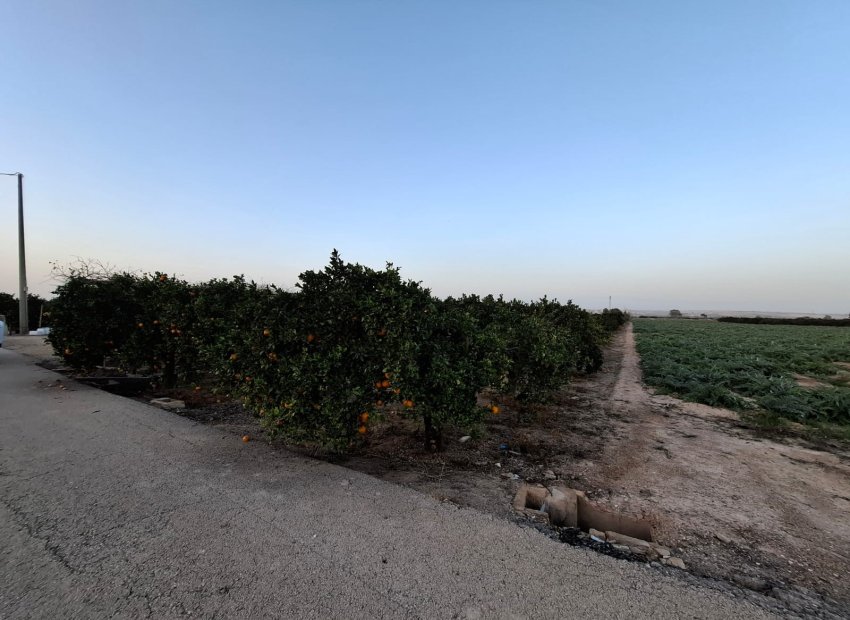 Reventa - Parcela / Terreno - Guardamar del Segura
