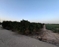 Reventa - Parcela / Terreno - Guardamar del Segura