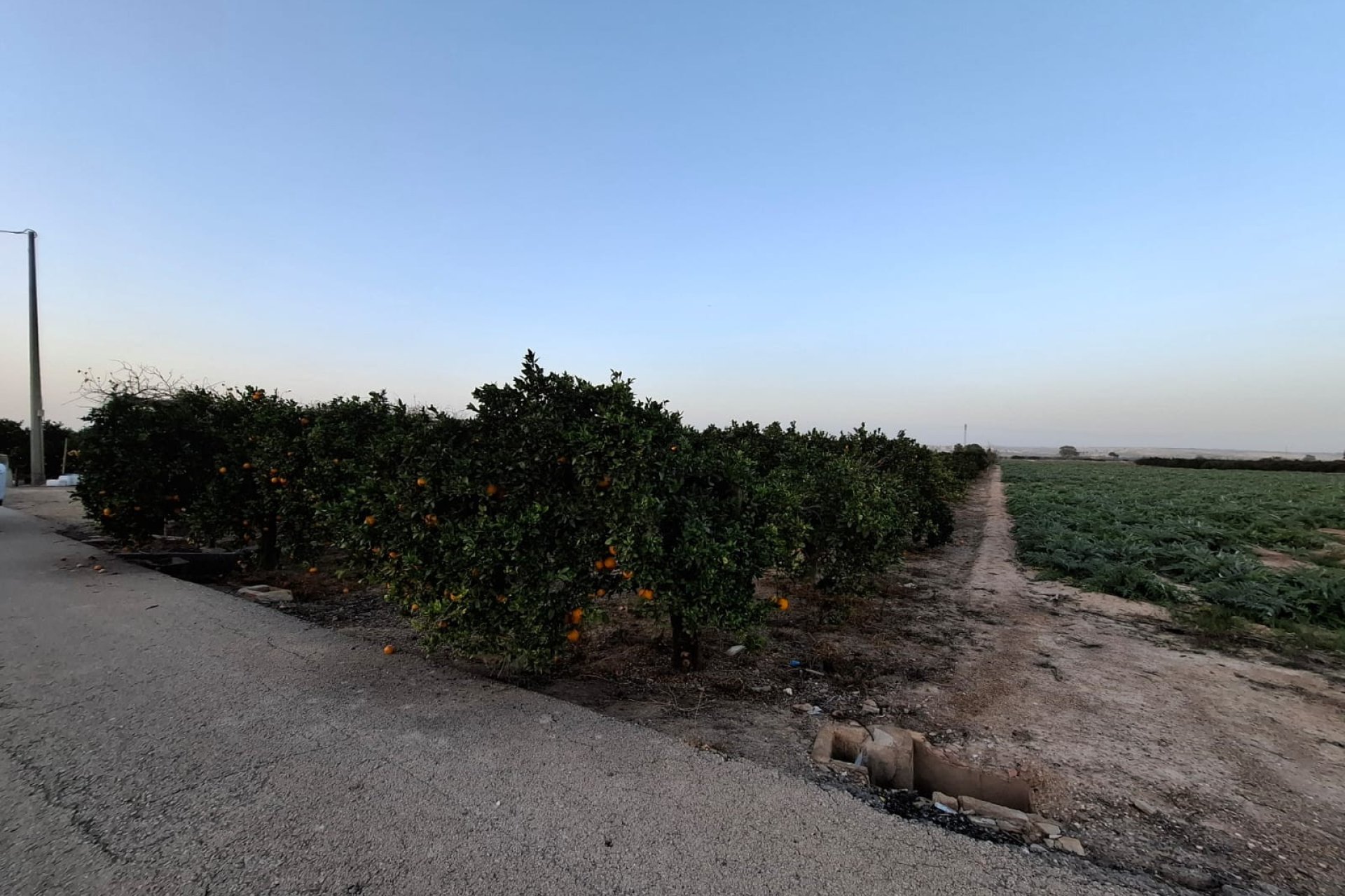 Reventa - Parcela / Terreno - Guardamar del Segura